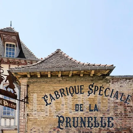 Le Champenois - Pro/famille - Equipe - Centre-ville - Proche Gare - Wifi - Mon Groom Apartment Troyes