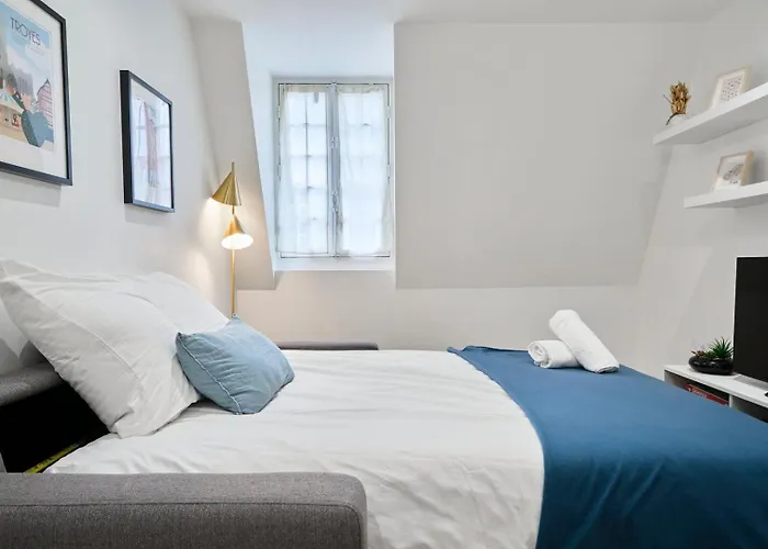 Le Champenois - 4 - Equipe Coeur De - Climatisation - Netflix * Troyes